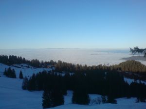 Langlauf Gurnigel Sicht Nebelmeer Selital