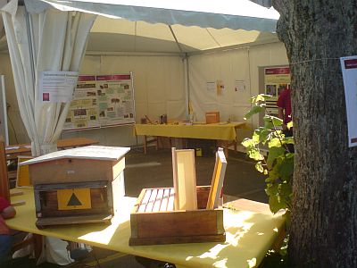 Nacht der Forschung: Bestäubung in Gefahr - Forchung zur Bienengesundheit