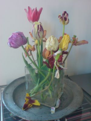 Nature morte mit Tulpen