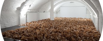 Zimoun im Orbital Garden Laboratory Bern