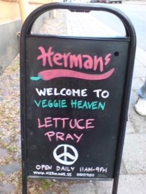 Wochenende in Stockholm - Vegetarisches Restaurant Hermans Södermalm